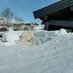 Semesterbostad Log By Hardangervidda National Park Nesland
