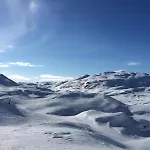 Log By Hardangervidda National Park Nesland
