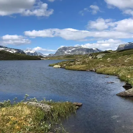 Log By Hardangervidda National Park بيت للعطل Nesland