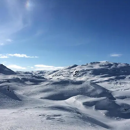 Log By Hardangervidda National Park Nesland